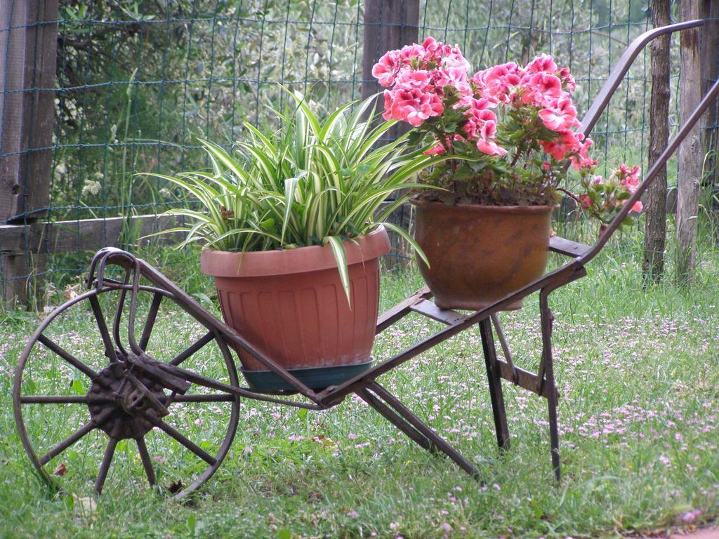 B&B Le Grazie Piaggine Extérieur photo